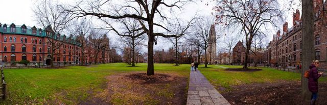 yale university