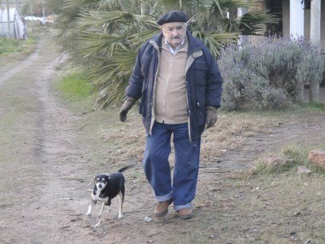 only security 3 legged dog.4