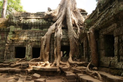 ta-prohm-3