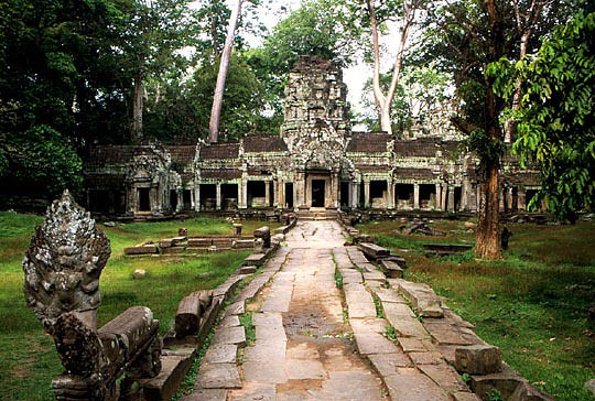 ta-prohm12