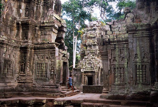 ta-prohm18