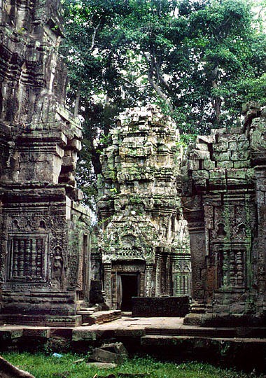 ta-prohm33