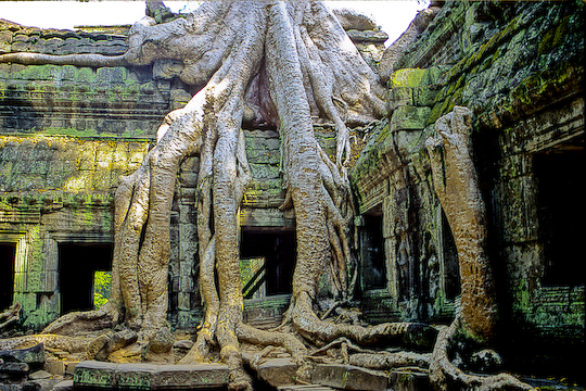 ta-prom-temple-angkor-wat.kk-1