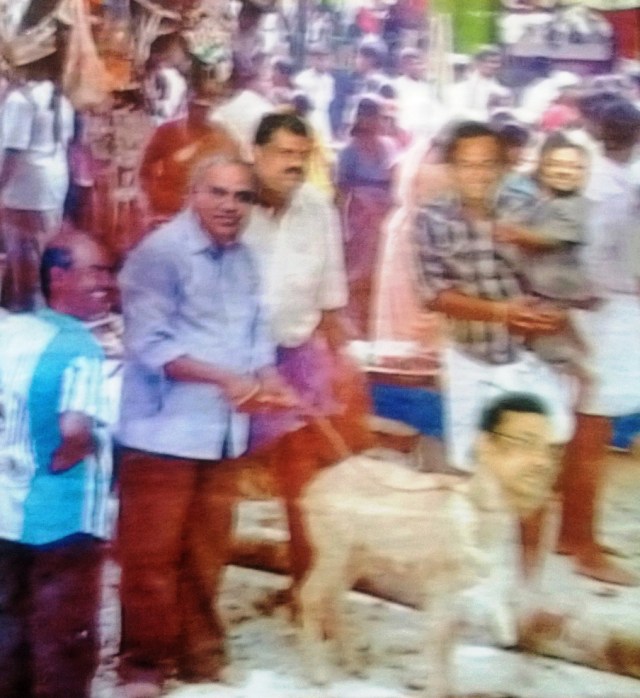 bali aadu- evks