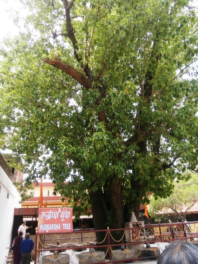 ??????????????????????