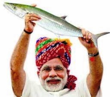 bjp fish-2