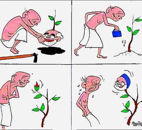 nm and mm comparison