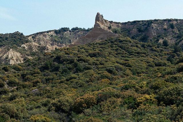 2015 - gallipoli