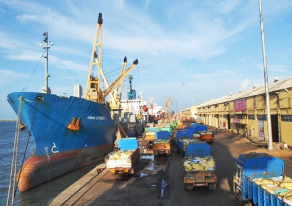 chen.harbour