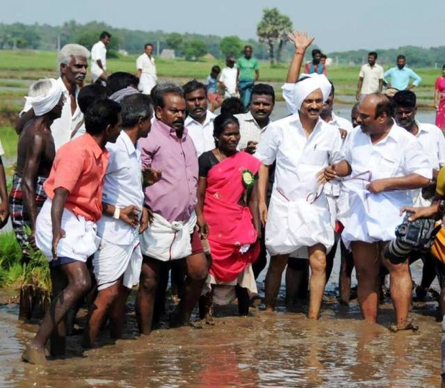 stalin in paddy field