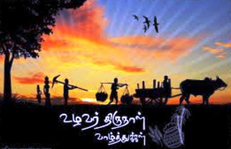 pongal -1