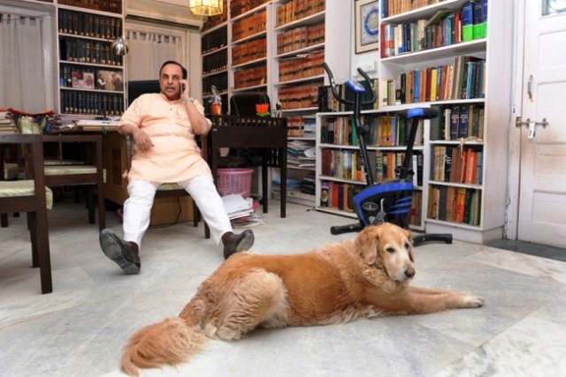 swamy-and-his-dog
