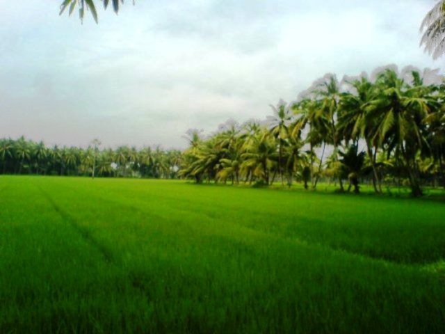 green-village
