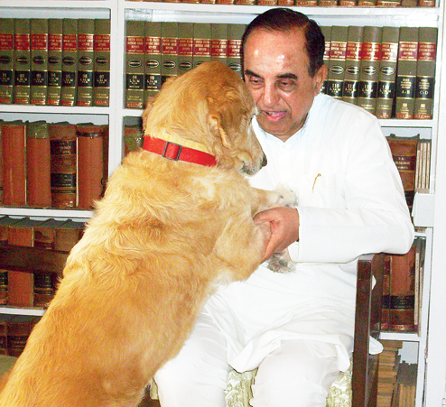 ss-with-dog