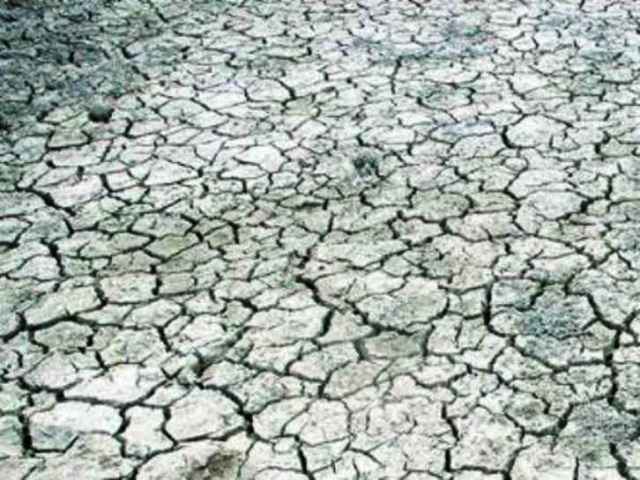 drought-in-tn