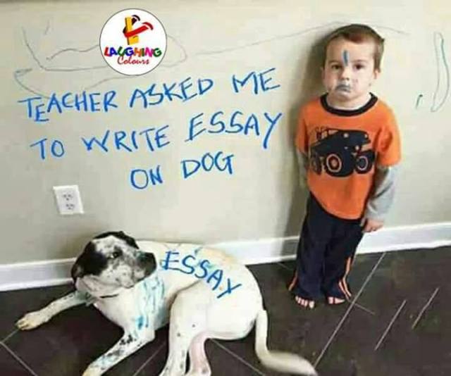 teacher-dog-joke