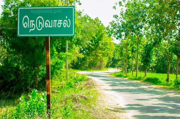 neduvaasal-3