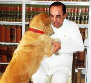 ss-with-dog